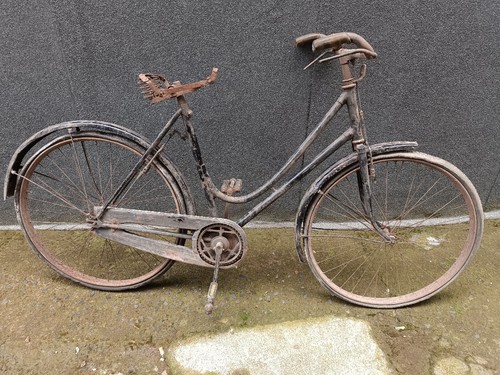 Bicicletta donna anni 50 - bicicletta,