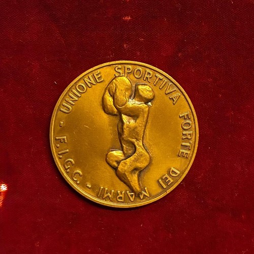 4211 medaglia unione - -,
